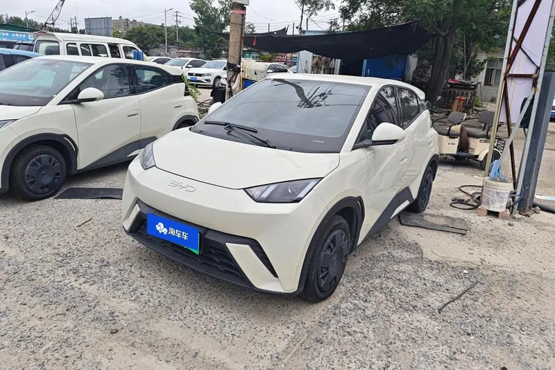 BYD Seagull, 2025