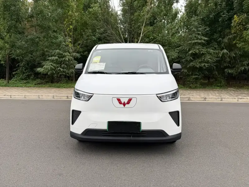 Wuling Yangguang, 2026