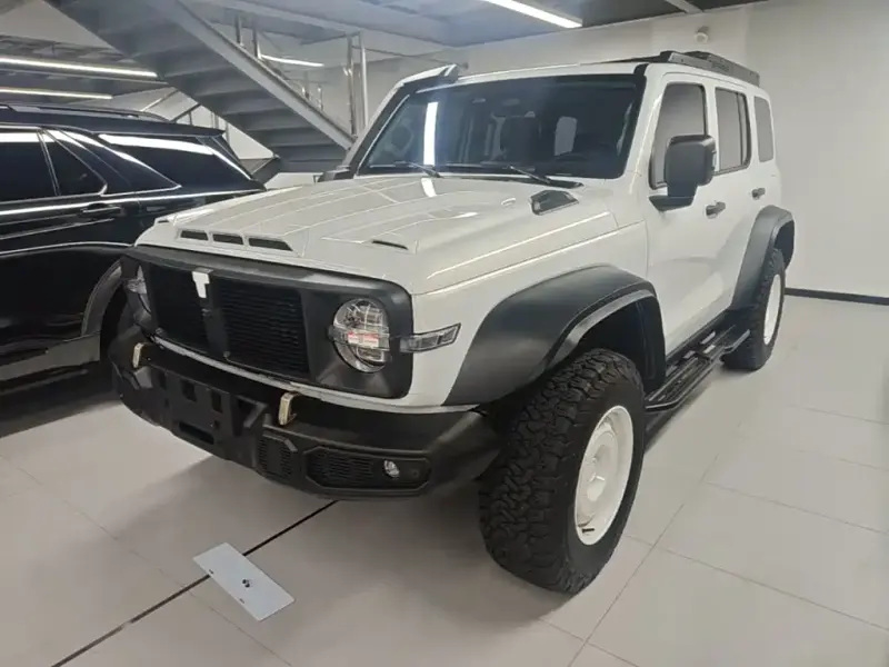 Tank 300, 2024
