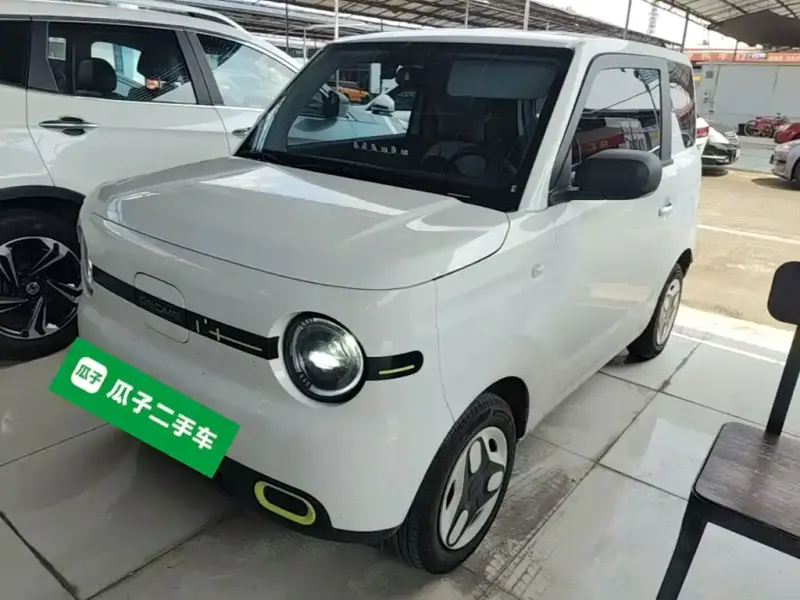 Galaxy Panda, 2025