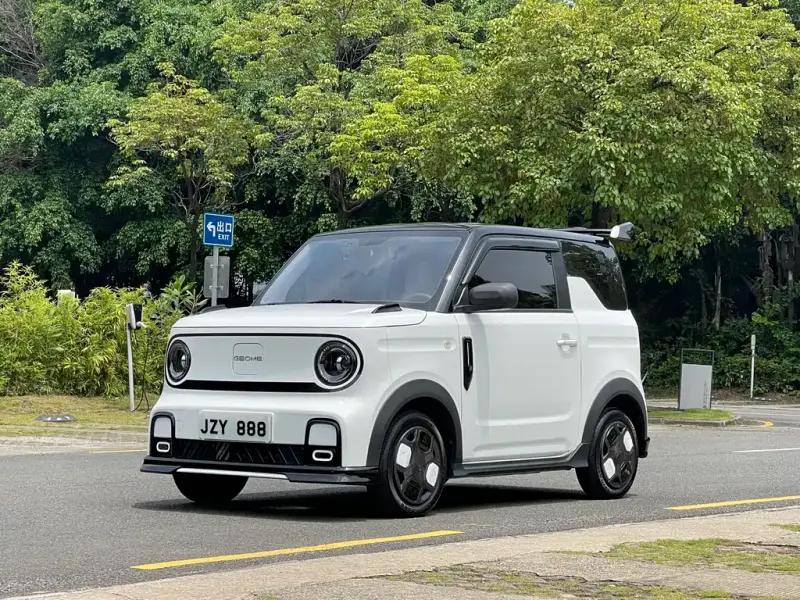 Galaxy Panda, 2025