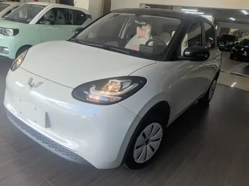 Wuling Bingo, 2024