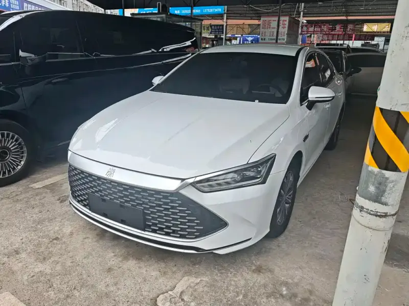 BYD Qin PLUS, 2024