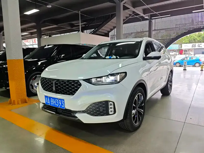 Wey VV6, 2020
