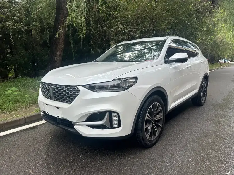Wey VV6, 2020