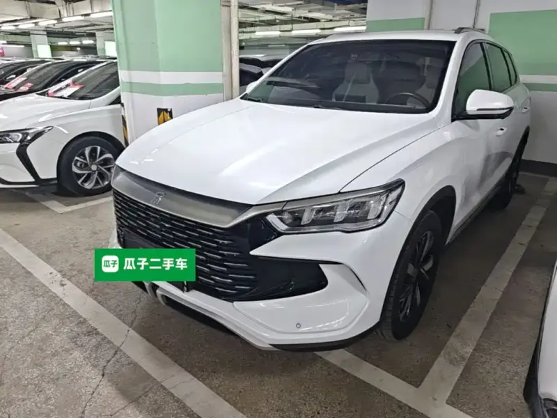 BYD Pro New Energy, 2024