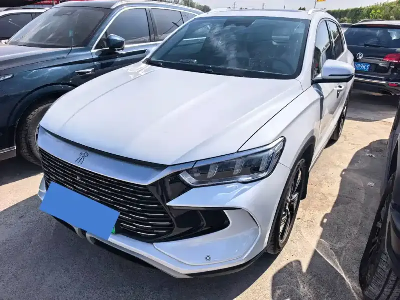 BYD Pro New Energy, 2024