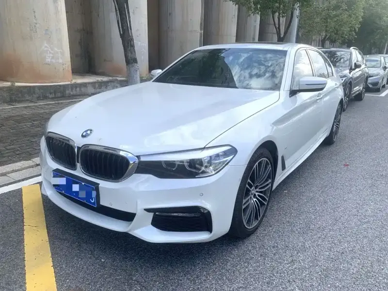 BMW 5 Series BMW 5 Series 2018 530Li Leading Type M Sport Package, 2018 — фото 1