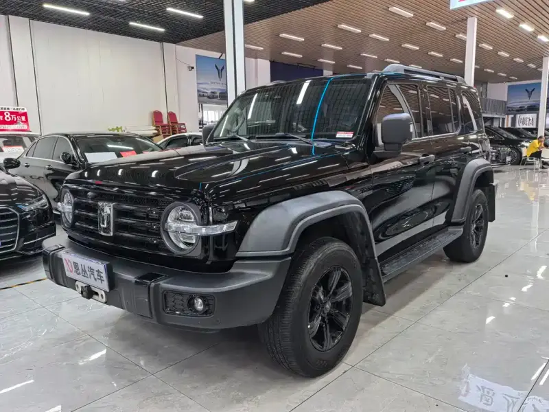 Tank 300, 2021