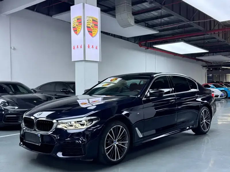 BMW 5 Series BMW 5 Series 2020 530Li Leading Type M Sport Package, 2020 — фото 1