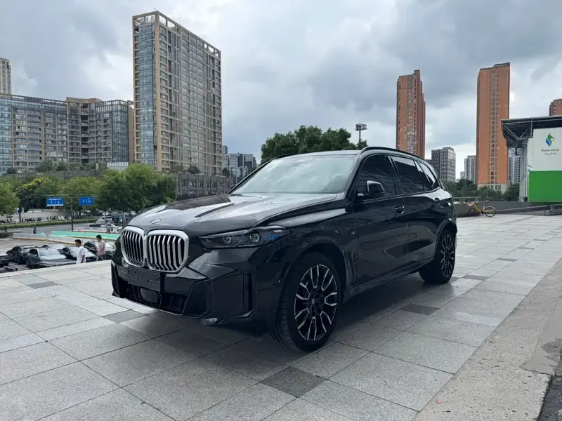 BMW X5 BMW X5 2023 xDrive 40Li M Sport Night Package, 2024 — фото 1