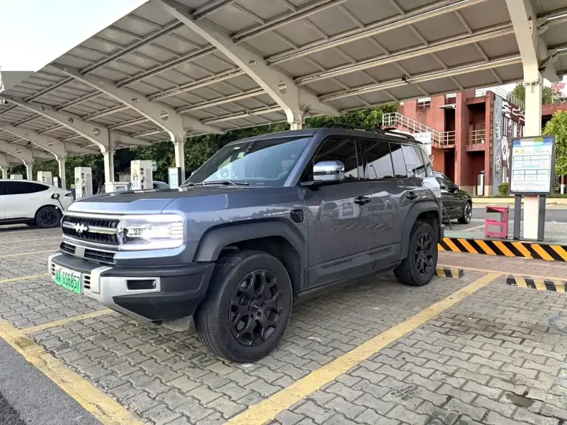 Fang Cheng Bao Leopard 5, 2024