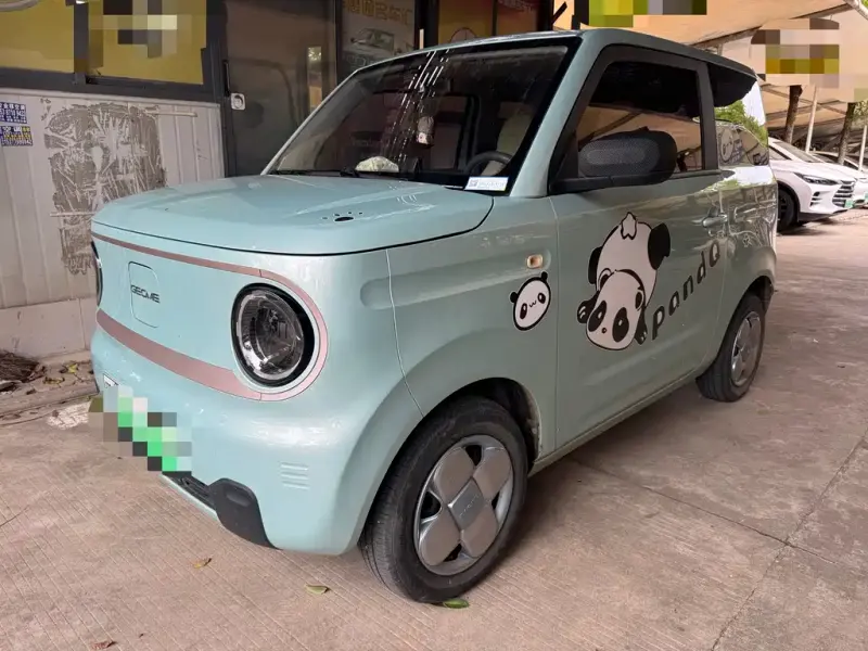 Galaxy Panda, 2023