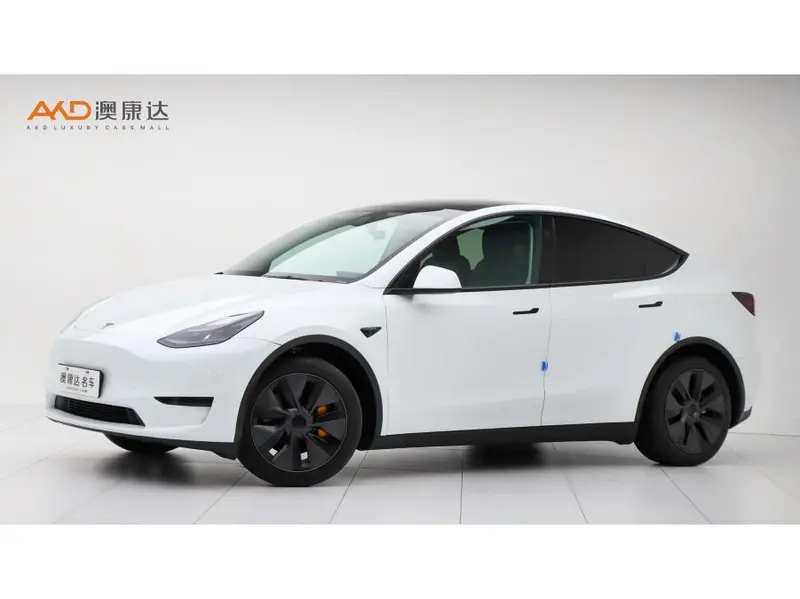 Tesla Model Y, 2024