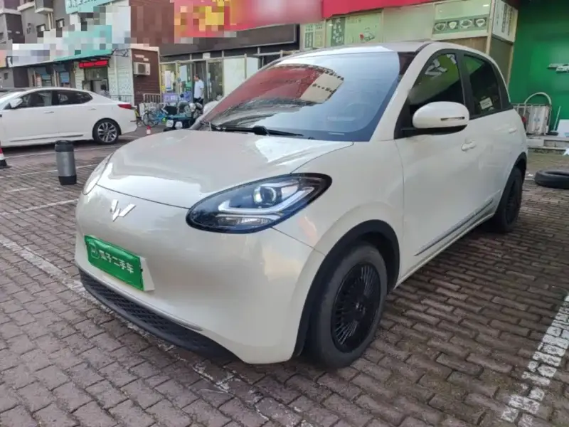 Wuling Bingo, 2023