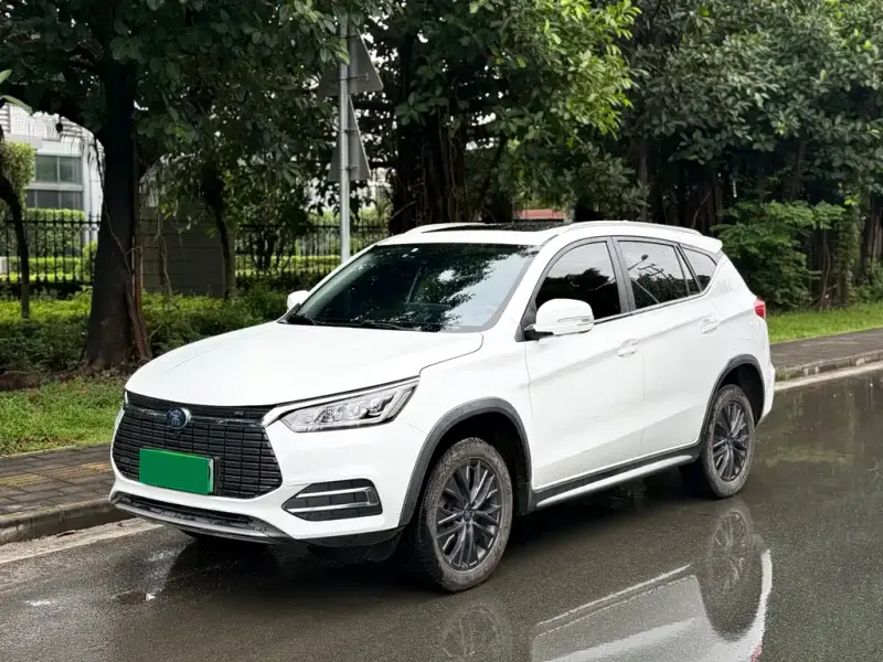 BYD New Energy, 2019