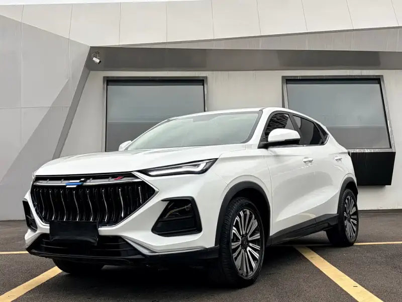 Oshan Oushang X5, 2021