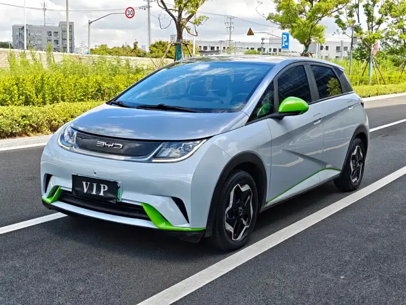 BYD Dolphin, 2022