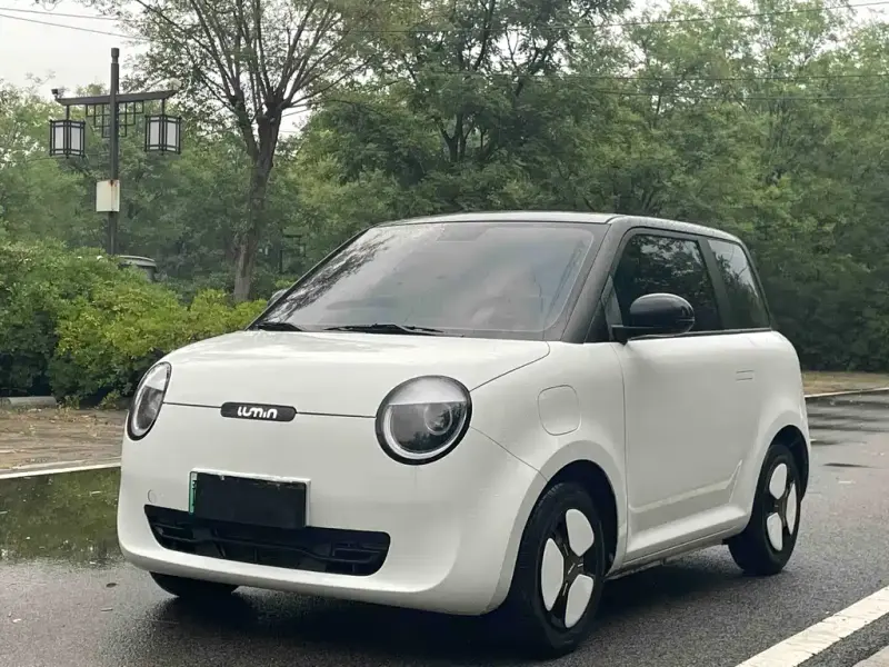 Qiyuan Lumin, 2024