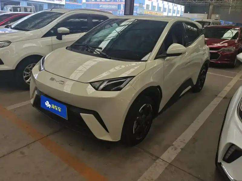BYD Seagull, 2023
