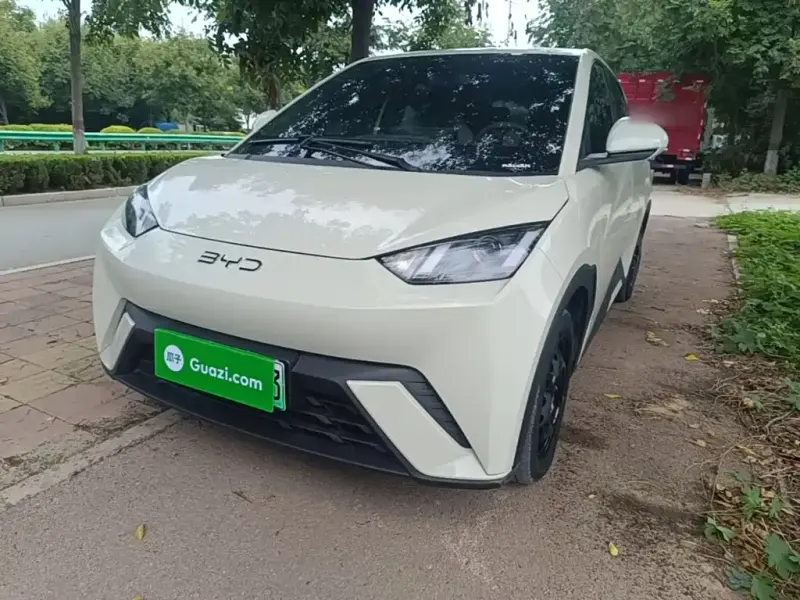 BYD Seagull, 2024