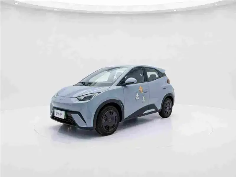 BYD Seagull, 2024