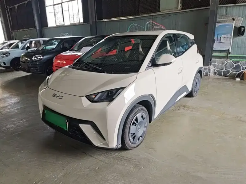 BYD Seagull, 2024