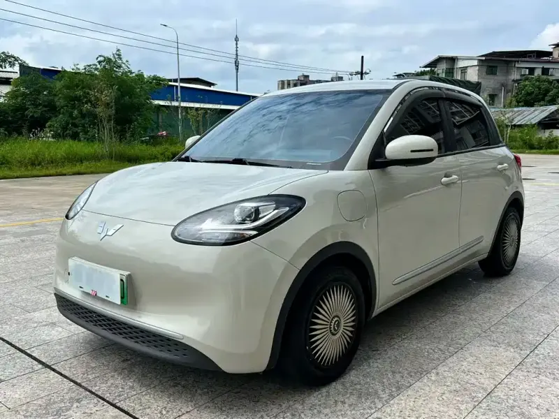 Wuling Bingo, 2023