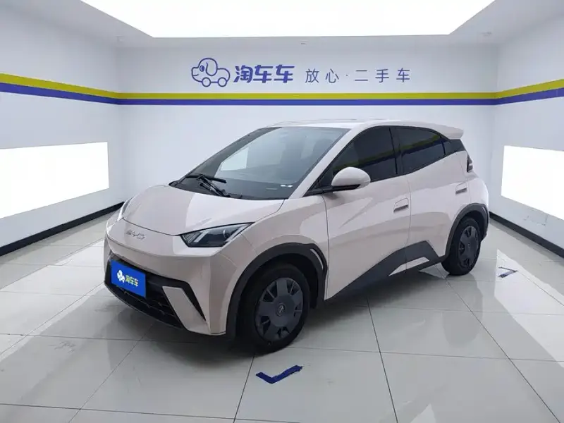 BYD Seagull, 2024