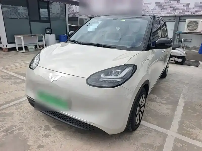 Wuling Bingo, 2024