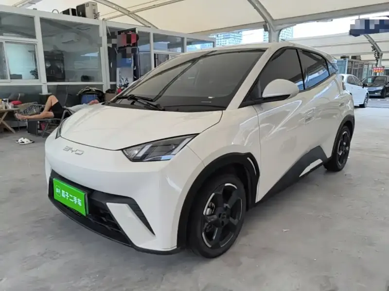 BYD Seagull, 2024