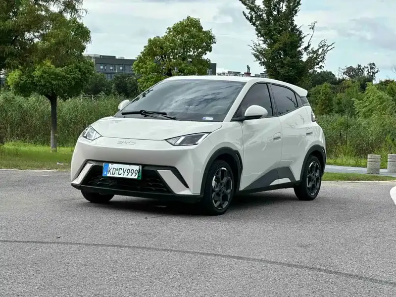 BYD Seagull, 2024