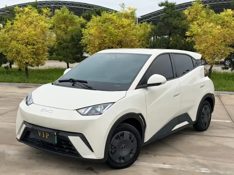 BYD Seagull, 2024