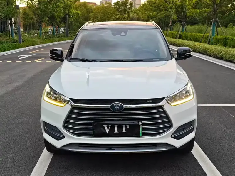 BYD New Energy, 2019