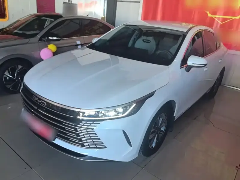 BYD Destroyer 05, 2024