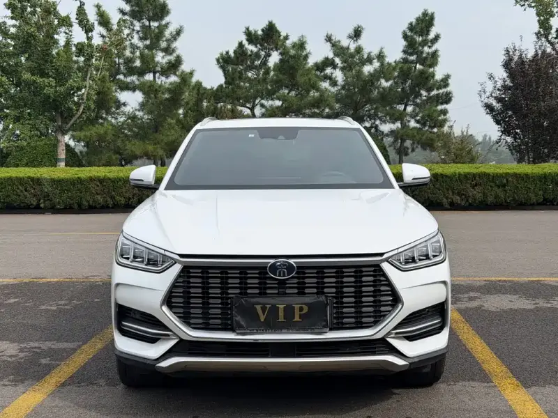 BYD PLUS, 2020