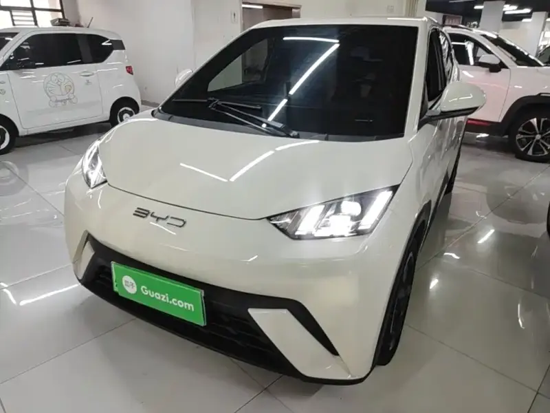 BYD Seagull, 2024