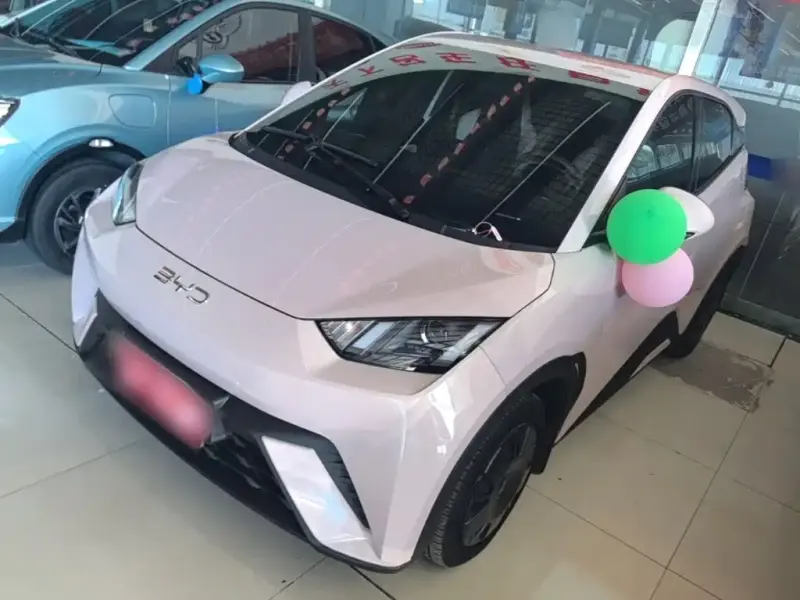 BYD Seagull, 2024