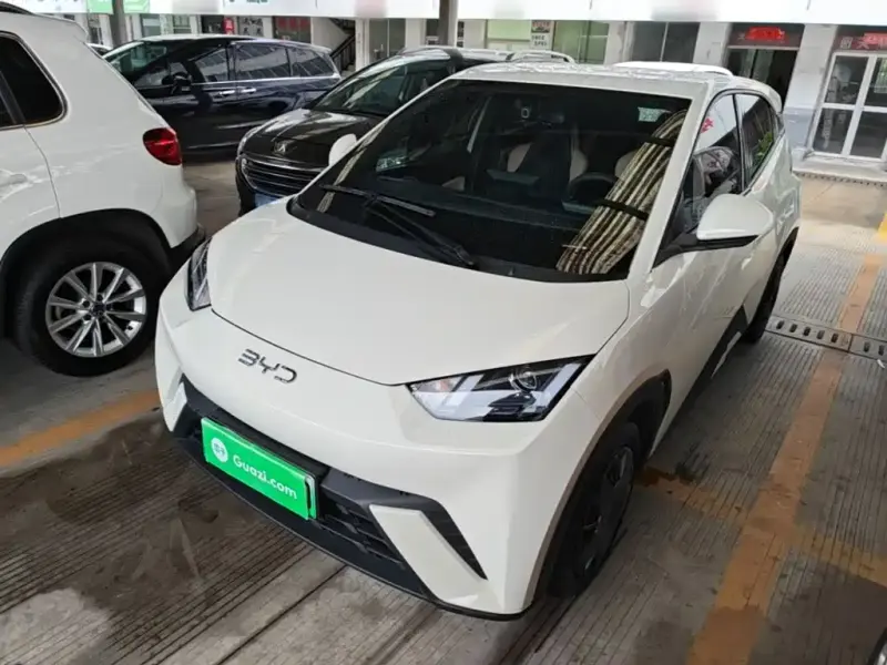 BYD Seagull, 2025
