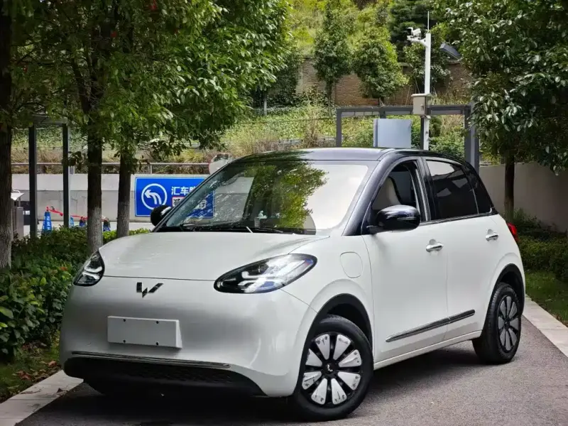 Wuling Bingo, 2024