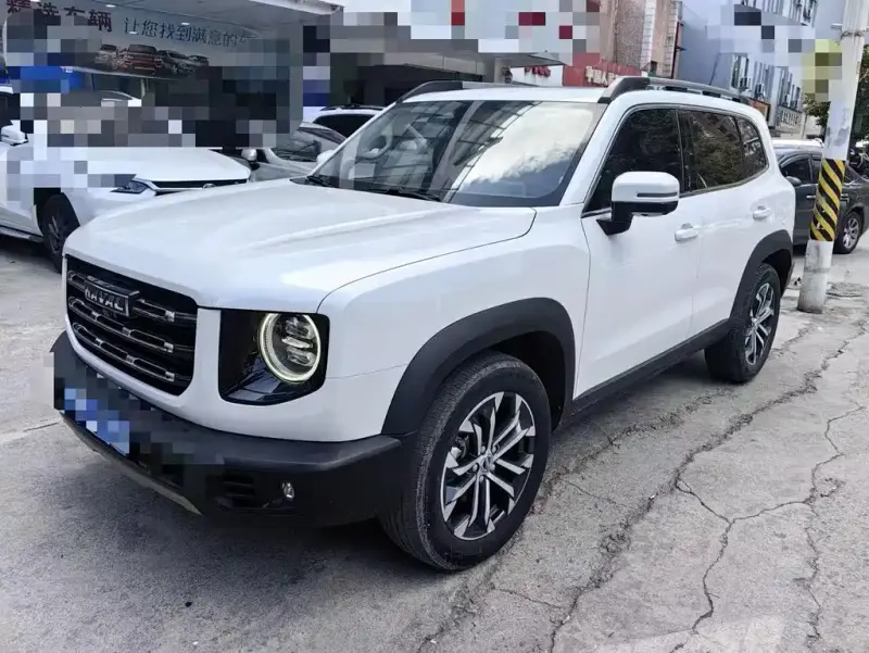 Haval Big Dog, 2021