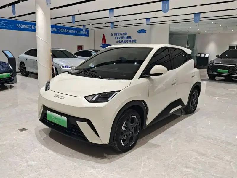 BYD Seagull, 2024
