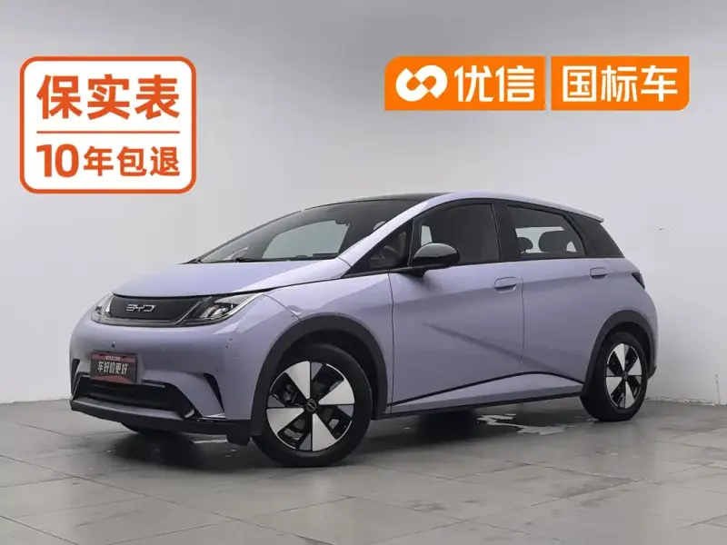 BYD Dolphin, 2023