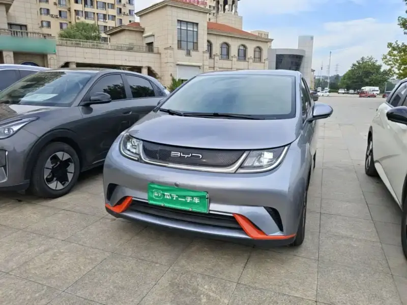BYD Dolphin, 2022