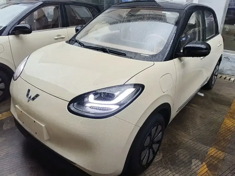 Wuling Bingo, 2026