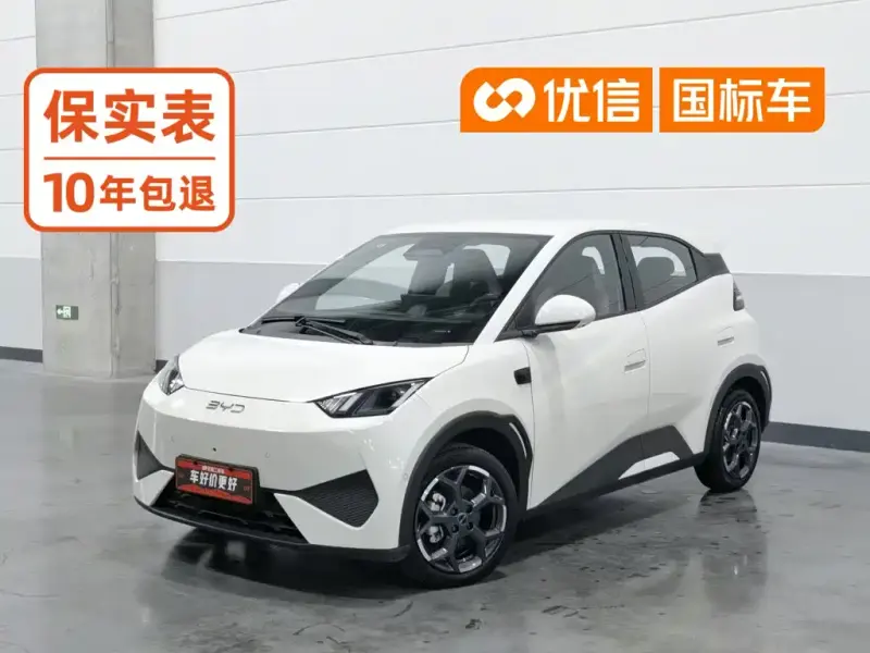 BYD Seagull, 2025