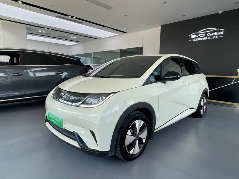 BYD Dolphin, 2023