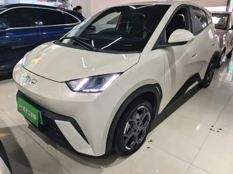 BYD Seagull, 2025