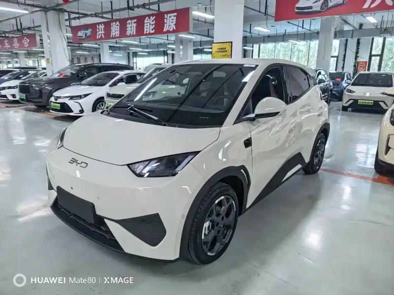 BYD Seagull, 2025