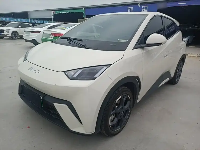 BYD Seagull, 2025